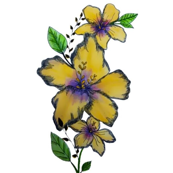 5BF9D740 AFC5 4D8F 9BA8 8B88C39FFFDE Thumbnail